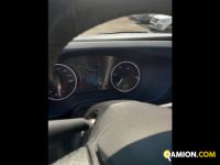 Iveco Mod. IVECO Vers. IVECO | Leggero Cabinato <= 35 q.li Telaio | INDUSTRIAL CARS S.P.A