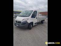 Fiat Mod. FIAT Vers. FIAT | Leggero Cabinato <= 35 q.li Altro | INDUSTRIAL CARS S.P.A