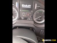 Daf Mod. DAF Vers. DAF | Motrice Cassone fisso | INDUSTRIAL CARS S.P.A