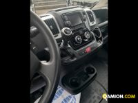 Fiat Mod. FIAT Vers. FIAT | Leggero Cabinato <= 35 q.li Altro | INDUSTRIAL CARS S.P.A