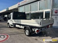 Fiat Mod. FIAT Vers. FIAT | Leggero Cabinato <= 35 q.li Cassone fisso | INDUSTRIAL CARS S.P.A