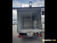 Iveco Mod. IVECO Vers. IVECO | Leggero Cabinato > 35 q.li Isotermico con gruppo frigo | INDUSTRIAL CARS S.P.A