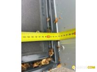 Iveco Mod. IVECO Vers. IVECO | Leggero Furgone <= 35 q.li Furgonato con sponda | INDUSTRIAL CARS S.P.A