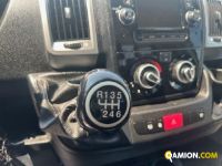 Fiat Mod. FIAT Vers. FIAT | Leggero Cabinato <= 35 q.li Cassone fisso | INDUSTRIAL CARS S.P.A