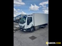 Iveco Mod. IVECO Vers. IVECO | Leggero Cabinato > 35 q.li Isotermico con gruppo frigo | INDUSTRIAL CARS S.P.A