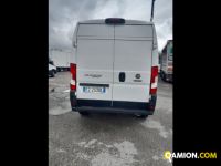 Fiat Mod. FIAT Vers. FIAT | Leggero Furgone <= 35 q.li Furgone di serie / Van | INDUSTRIAL CARS S.P.A