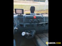 Iveco Mod. IVECO Vers. IVECO | Leggero Cabinato > 35 q.li Isotermico con gruppo frigo e sponda | INDUSTRIAL CARS S.P.A