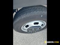 Iveco Mod. IVECO Vers. IVECO | Leggero Cabinato <= 35 q.li Telaio | INDUSTRIAL CARS S.P.A