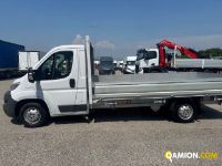 Fiat Mod. FIAT Vers. FIAT | Leggero Cabinato <= 35 q.li Cassone fisso | INDUSTRIAL CARS S.P.A