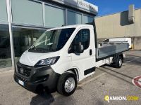 Fiat Mod. FIAT Vers. FIAT | Leggero Cabinato <= 35 q.li Cassone fisso | INDUSTRIAL CARS S.P.A