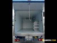 Iveco Mod. IVECO Vers. IVECO | Leggero Cabinato > 35 q.li Isotermico con gruppo frigo | INDUSTRIAL CARS S.P.A