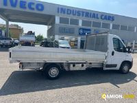 Fiat Mod. FIAT Vers. FIAT | Leggero Cabinato <= 35 q.li Cassone fisso | INDUSTRIAL CARS S.P.A