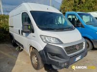Fiat DUCATO DUCATO | Altro Altro | Iveco Orecchia