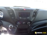 Iveco DAILY 35C16 DAILY 35C16 | Altro Altro | Iveco Orecchia