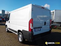 Fiat DUCATO L1H1 DUCATO L1H1 | Altro Altro | Iveco Orecchia