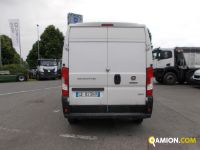 Fiat DUCATO DUCATO | Altro Altro | Iveco Orecchia