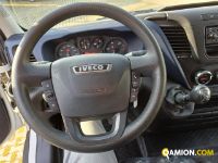 Iveco DAILY 35S16 - 3520 DAILY 35S16 - 3520 Altro | Iveco Orecchia