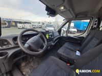 Iveco DAILY 50C15 DAILY 50C15 | Altro Altro | Iveco Orecchia