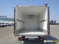 Iveco DAILY 35C16 DAILY 35C16 | Altro Altro | Iveco Orecchia