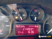 Iveco DAILY 35S14 DAILY 35S14 | Altro Altro | Iveco Orecchia