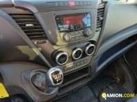 Iveco DAILY 35C14 DAILY 35C14 | Altro Altro | Iveco Orecchia