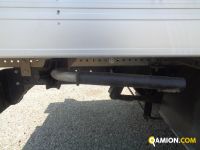 Iveco DAILY 35C16 DAILY 35C16 | Altro Altro | Iveco Orecchia