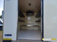 Iveco DAILY 35C13 DAILY 35C13 Altro | Iveco Orecchia