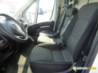 Fiat DUCATO DUCATO | Altro Altro | Iveco Orecchia