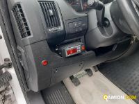 Fiat DUCATO ducato | Leggero Furgone > 35 q.li Isotermico con gruppo frigo | Iveco Orecchia