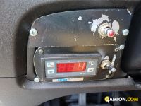 Iveco DAILY 35C13 DAILY 35C13 Altro | Iveco Orecchia