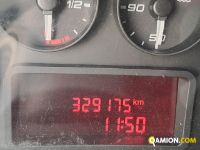 Iveco DAILY 50C15 DAILY 50C15 | Altro Altro | Iveco Orecchia