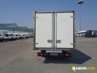 Iveco DAILY 35C16 DAILY 35C16 | Altro Altro | Iveco Orecchia
