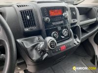 Fiat DUCATO ducato | Leggero Furgone > 35 q.li Isotermico con gruppo frigo | Iveco Orecchia