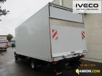 Iveco DAILY 70C18 DAILY 70C18 | Altro Altro | Iveco Orecchia