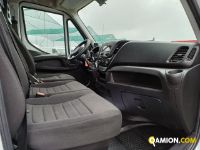 Iveco DAILY 35C16 DAILY 35C16 | Altro Altro | Iveco Orecchia
