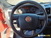 Fiat DUCATO DUCATO Altro | Iveco Orecchia
