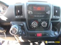 Fiat DUCATO L2H2 DUCATO L2H2 | Altro Altro | Iveco Orecchia