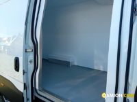 Iveco DAILY 35S16 DAILY 35S16 | Altro Altro | Iveco Orecchia