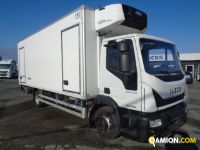 Iveco EUROCARGO ML120E19/P EUROCARGO ML120E19/P Altro | Iveco Orecchia