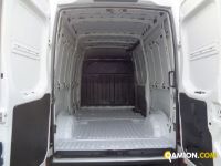 Iveco DAILY 35S12 V DAILY 35S12 V Altro | Iveco Orecchia