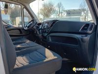 Iveco DAILY 35S14 - 3520 - 6+1 DAILY 35S14 - 3520 - 6+1 | Altro Altro | Iveco Orecchia