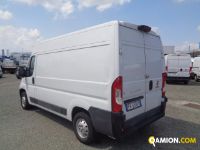 Fiat DUCATO 2.3 DUCATO 2.3 | Altro Altro | Iveco Orecchia