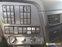 Iveco Stralis AD260S42Y/FS-D Stralis AD260S42Y/FS-D | Altro Altro | Iveco Orecchia