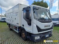 Iveco EUROCARGO ML80E22 EUROCARGO ML80E22 | Altro Altro | Iveco Orecchia