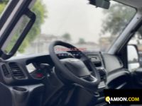 Iveco Daily 35C15 3 0 16V Daily 35C15 3 0 16V | EUROCAR2002 S.R.L.