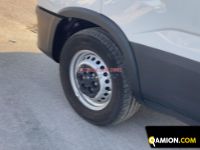 Iveco DAILY 35S14 DAILY 35S14 | EUROCAR2002 S.R.L.