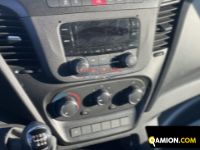 Iveco DAILY 35S14 DAILY 35S14 | EUROCAR2002 S.R.L.