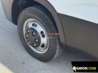 Iveco DAILY 35C13 DAILY 35C13 | Altro Altro | EUROCAR2002 S.R.L.