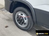 Iveco DAILY 35C14 DAILY 35C14 | EUROCAR2002 S.R.L.