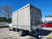 Iveco DAILY TELONATO | Altro Altro
